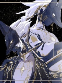 猫咪永久官网入口